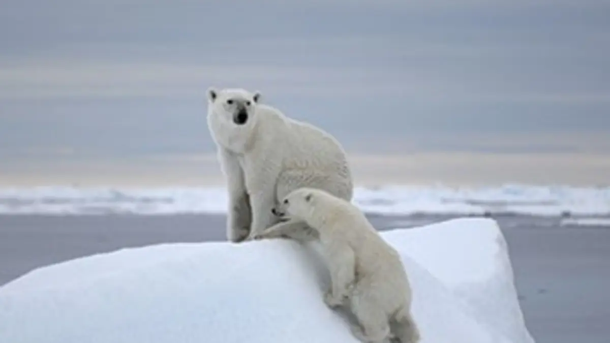 Svalbard, un long hiver arctique