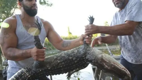 Swamp People : Chasseurs de croco S01E06 Prise de bec
