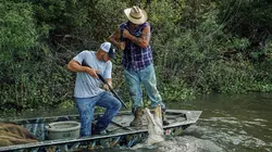 Swamp People : Chasseurs de croco S11E14 Confrontation décisive