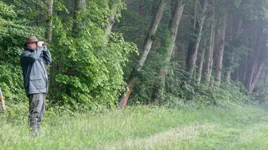 Les légendes des marais