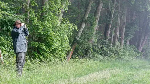 Swamp People : Chasseurs de croco S12E01 Attaque imminente