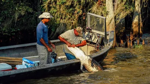 Swamp People : Chasseurs de croco S08E11 Le cannibale