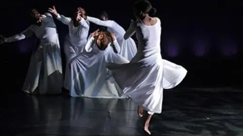 Swan Lake, Pièce pour douze danseurs