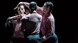 Swan Lakes au Theaterhaus Stuttgart