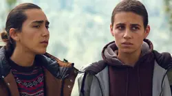 Syndrome d'effondrement des colonies d'abeilles