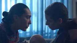 Syndrome d'effondrement des colonies d'abeilles