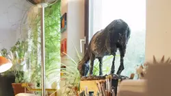 Synesthésie, quand les sens s'emmêlent