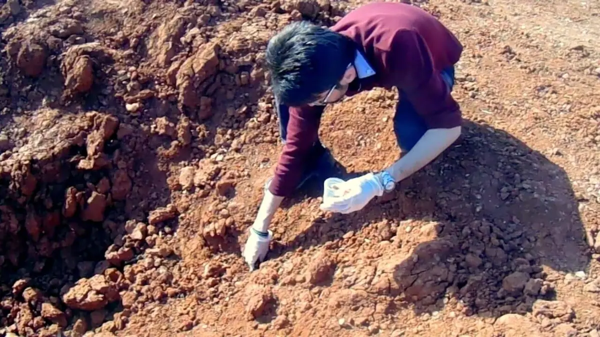 Syrie, la guerre toxique La ligne rouge