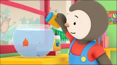 Le poisson rouge broie du noir