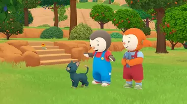 Un voleur un peu froussard