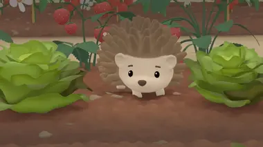 Le hérisson du potager