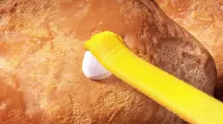 T'es où Chicky ?  S01E49 Le plat de chouquettes