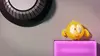 T'es où Chicky ?