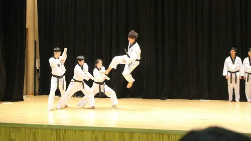 2e partie Taekwondo World Taekwondo Grand Prix, 5e manche 2018
