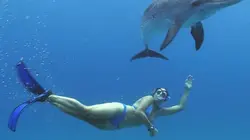 Visuel de Tahia, cap sur les Caraïbes