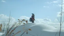 Visuel de Takara, la nuit où j'ai nagé