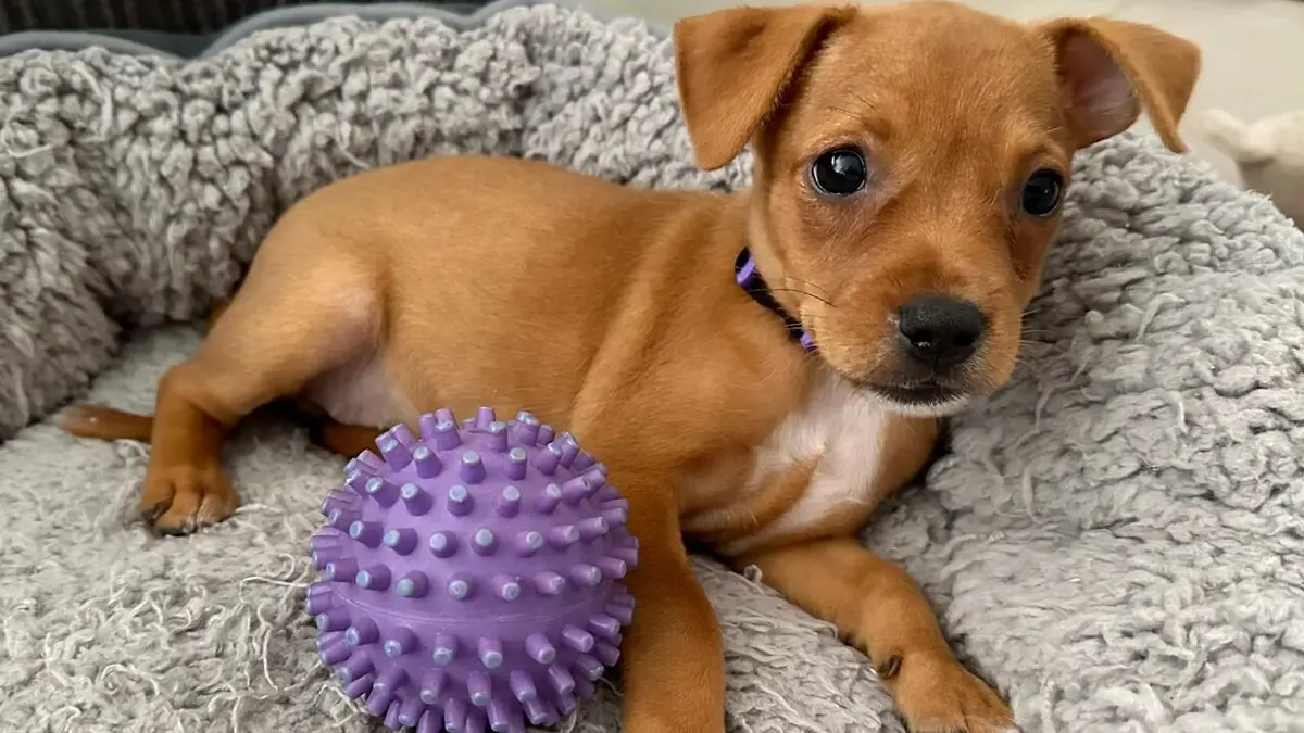 Visuel de Take me home A nouveau en sécurité