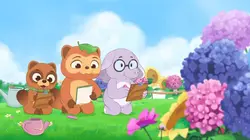 Taki Tanuki