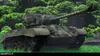 Tanks vs tanks S01E10 La bataille de Koursk le front sud (2010)