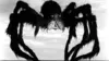 Tarantula