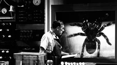 Tarantula (1955)