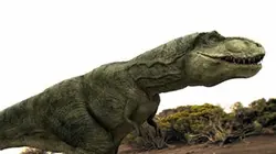 Visuel de Tarbosaurus, un T-rex venu d'Asie ?