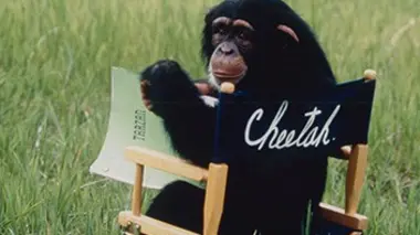 La clairière de feu