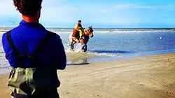 Visuel de Taste Hunters, les explorateurs du goût