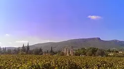 Taste Hunters, les explorateurs du goût S01E00 Grèce