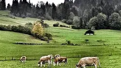 Taste Hunters, les explorateurs du goût