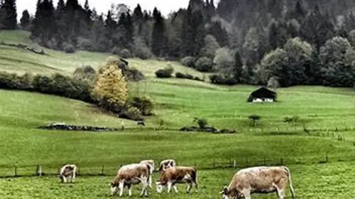 Taste Hunters, les explorateurs du goût S01E00 Suisse