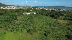 Taste Hunters, les explorateurs du goût