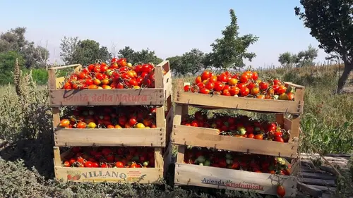Taste hunters, les explorateurs du goût S02E10 Italie