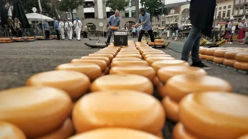 Taste hunters, les explorateurs du goût S02E06 Pays-Bas