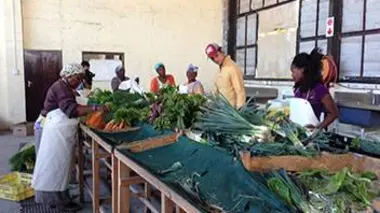 Taste Hunters, les explorateurs du goût S01E00 Afrique du Sud