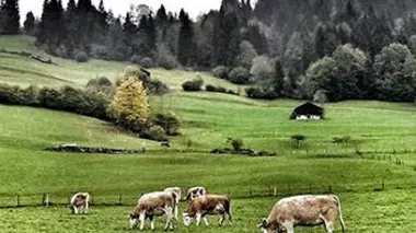 Taste Hunters, les explorateurs du goût S01E00 Suisse