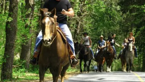 Tatoués au grand coeur E05 Missions délicates
