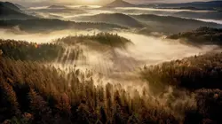 Tchéquie : Si les animaux m'étaient contés