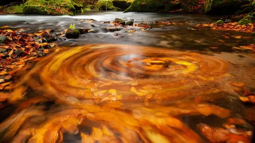 Tchéquie : Si les animaux m'étaient contés