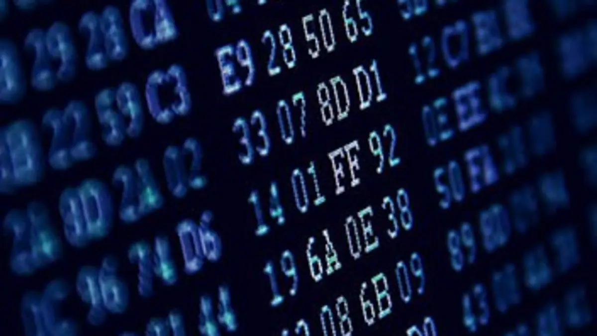 Techno-dépendants ou les accros aux données numériques