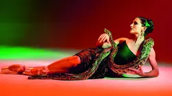 Ted Brandsen : Mata Hari - Dutch National Ballet