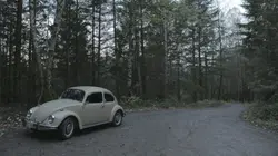 Ted Bundy : dans la tête d'un serial killer