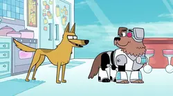 Teen Titans Go ! S03E14 Tous des animaux!