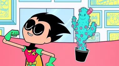 Teen Titans Go ! S04E10 La beauté intérieure d'un cactus