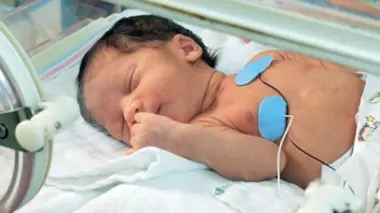 Au coeur des maternités (n°4)