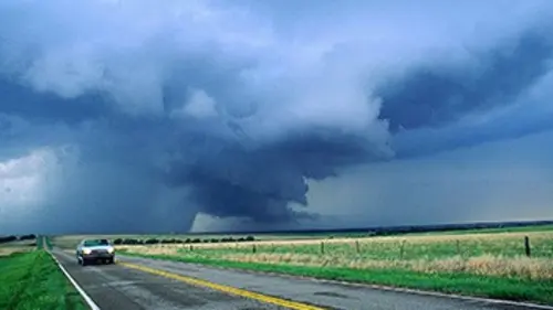 Témoin sur le vif E07