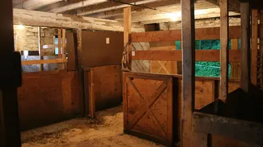 La femme en blanc / Un bruit dans la nuit