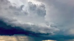 Tempête ! : Les animaux dans la tourmente