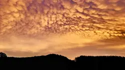 Tempête ! : Les animaux dans la tourmente