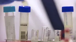 Temps Présent Elles font des bébés toutes seules